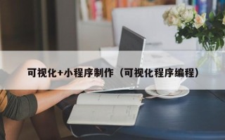 呼和浩特可视化+小程序制作（可视化程序编程）